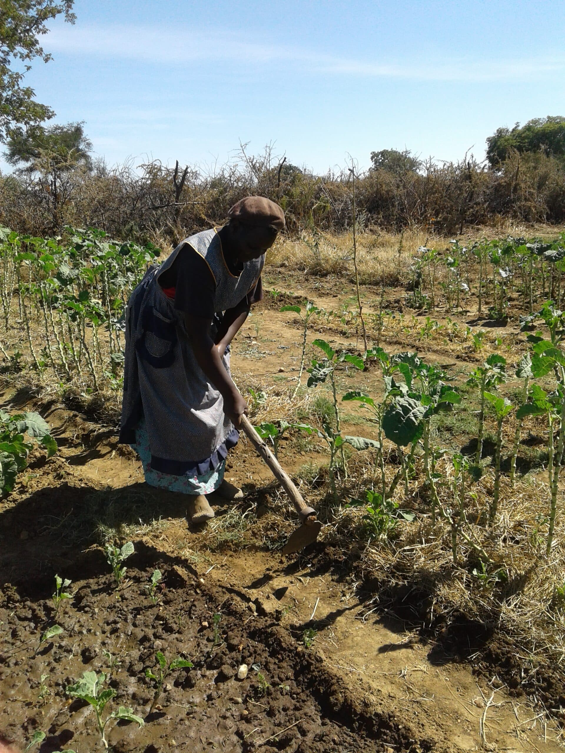 A field-work scene with Trinity Project staff.