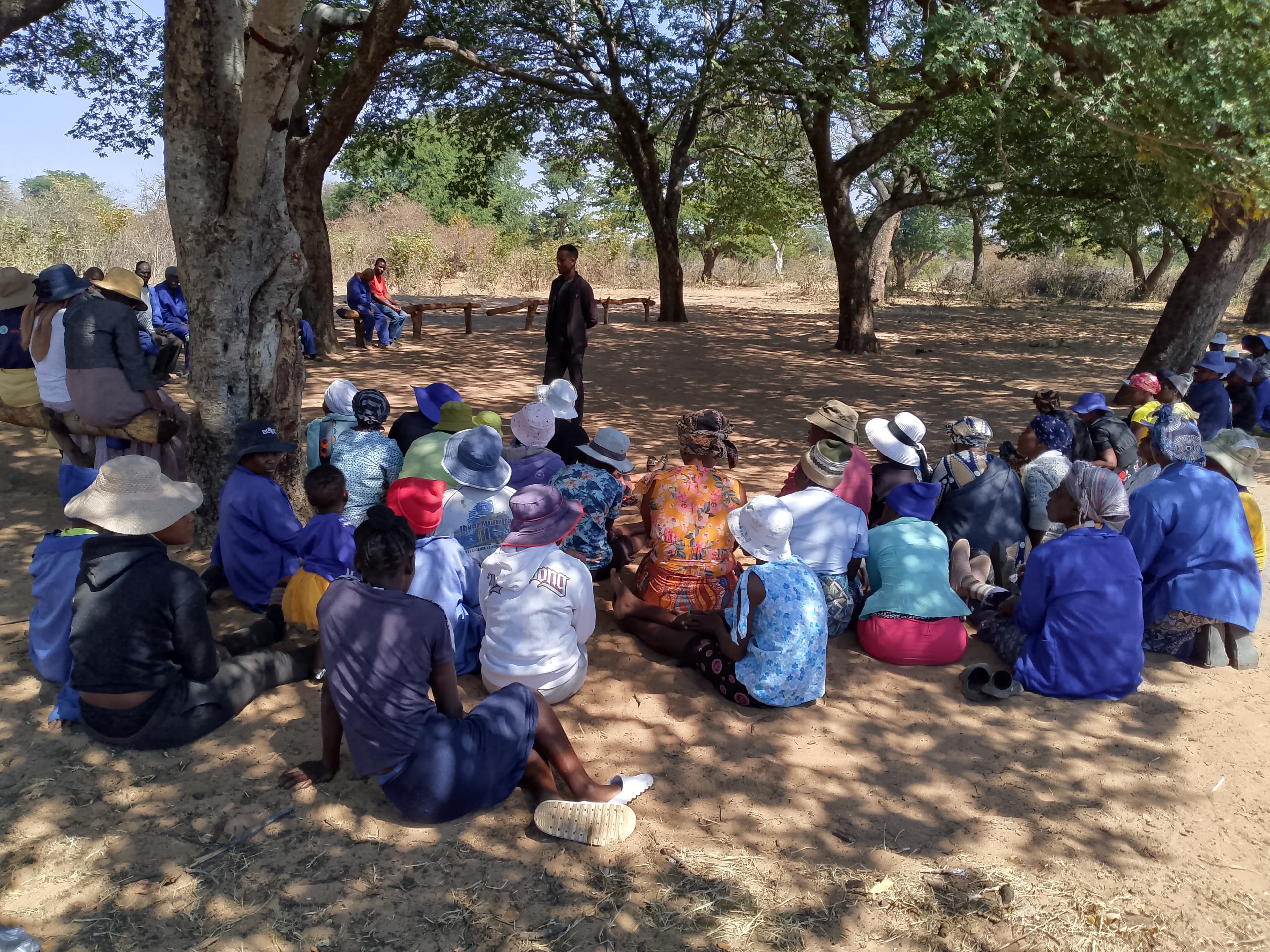 Trinity Project field activity, late 2025.